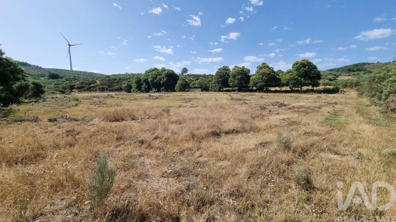Terreno para Venda em Prados Foto 11