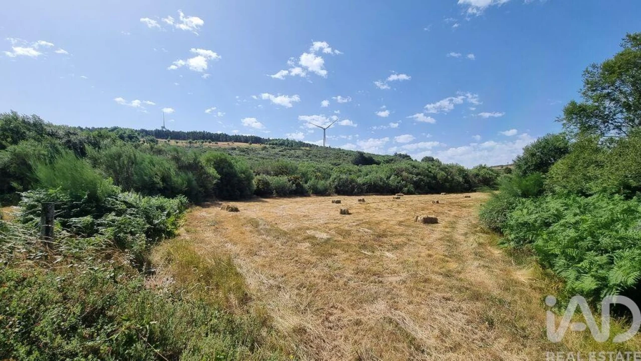 Terreno para Venda em Prados Foto 16