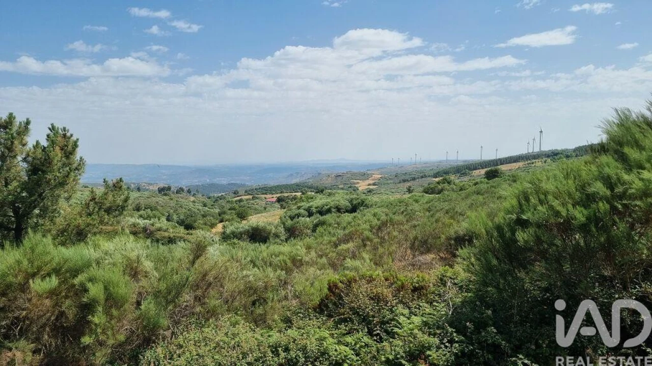 Terreno para Venda em Prados Foto 27