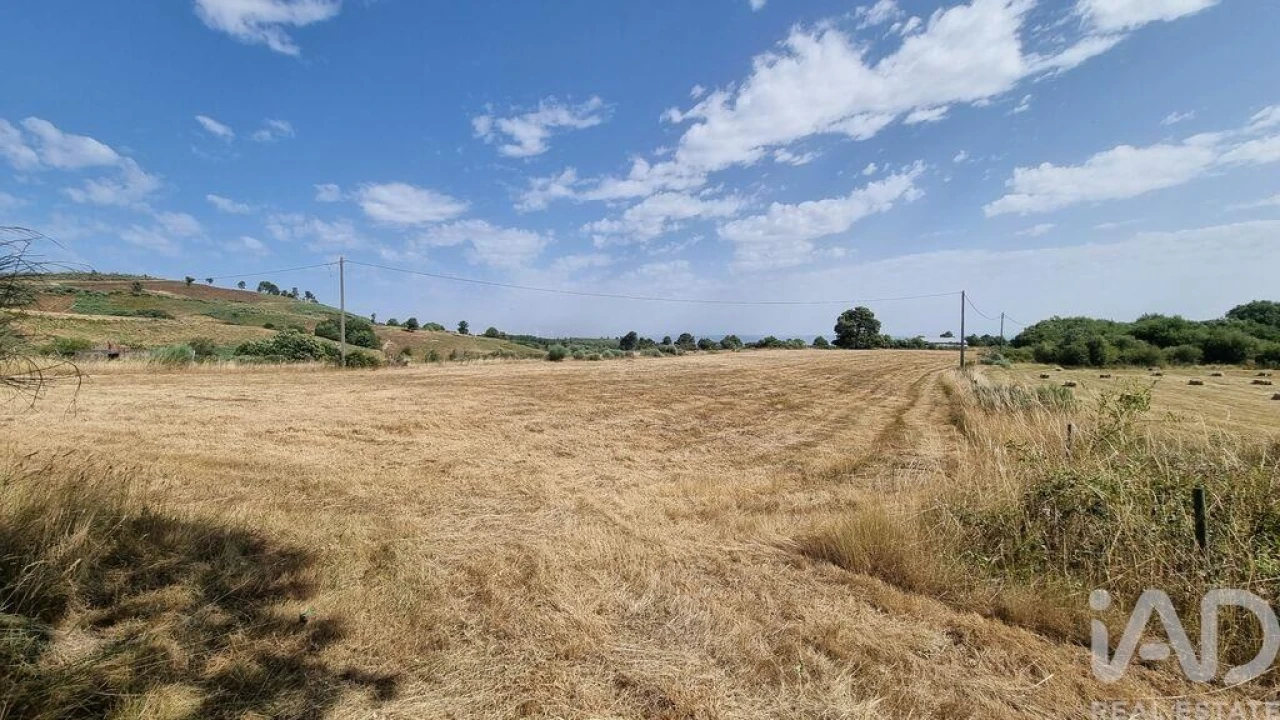 Terreno para Venda em Prados Foto 4