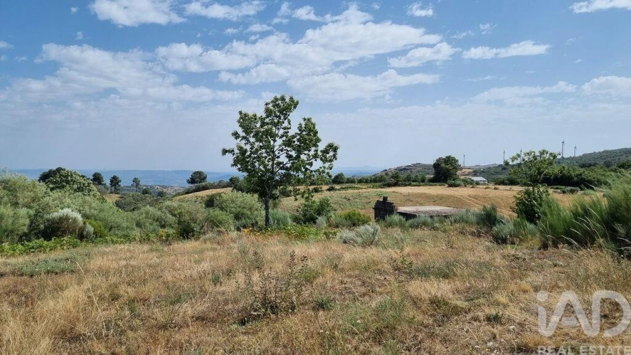 Terreno para Venda em Prados Foto 18