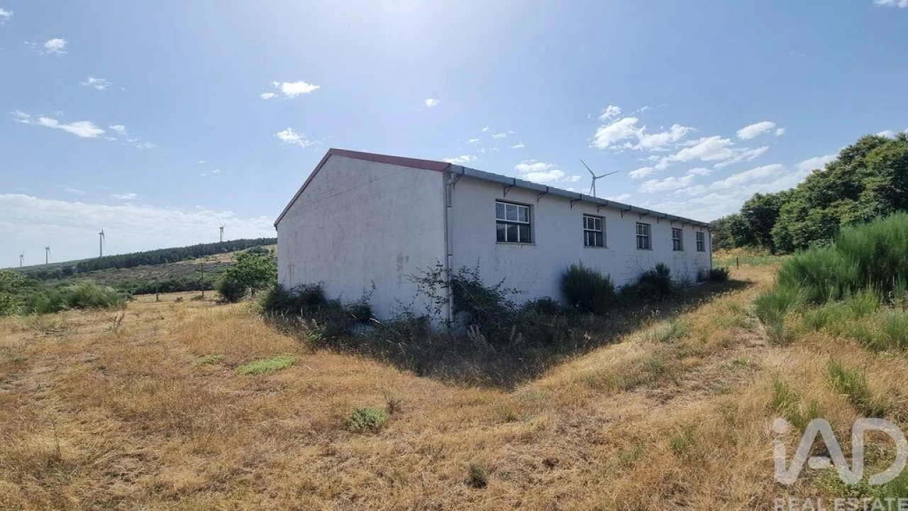 Terreno para Venda em Prados Foto 21