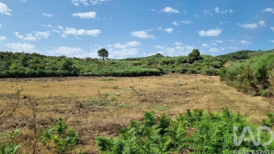 Terreno para Venda em Prados Foto 12