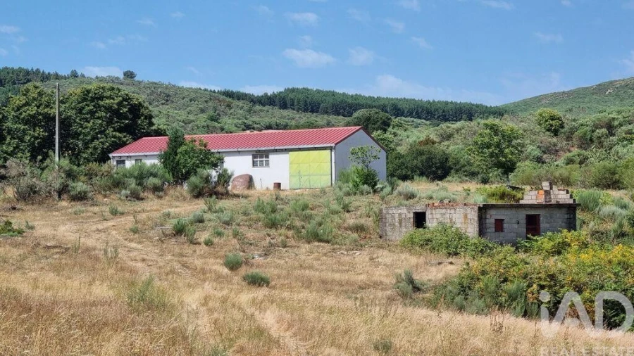 Terreno para Venda em Prados
