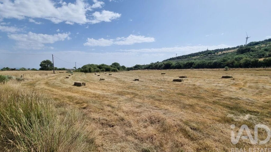 Terreno para Venda em Prados Foto 2