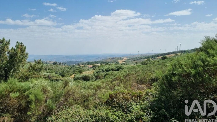 Terreno para Venda em Prados Foto 27