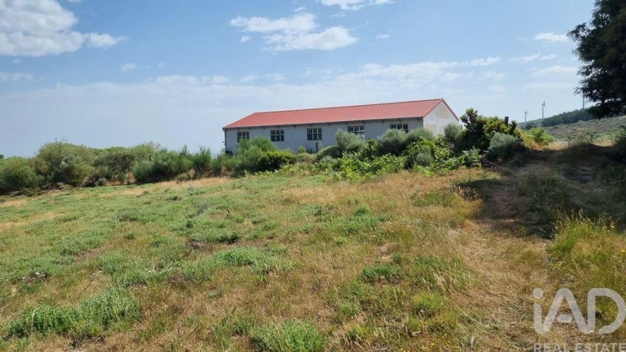 Terreno para Venda em Prados Foto 10
