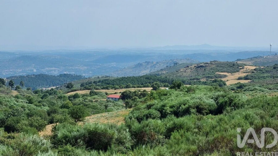 Terreno para Venda em Prados Foto 5