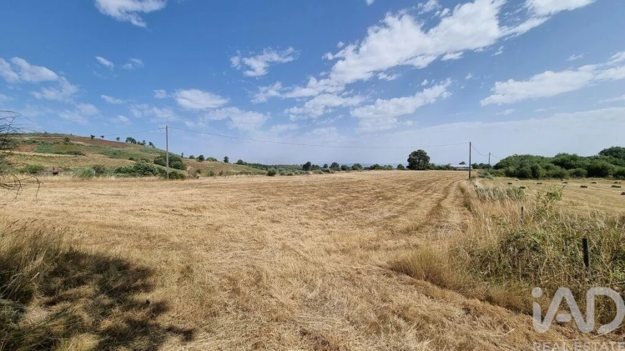 Terreno para Venda em Prados Foto 4