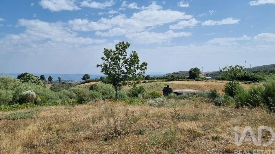 Terreno para Venda em Prados Foto 18