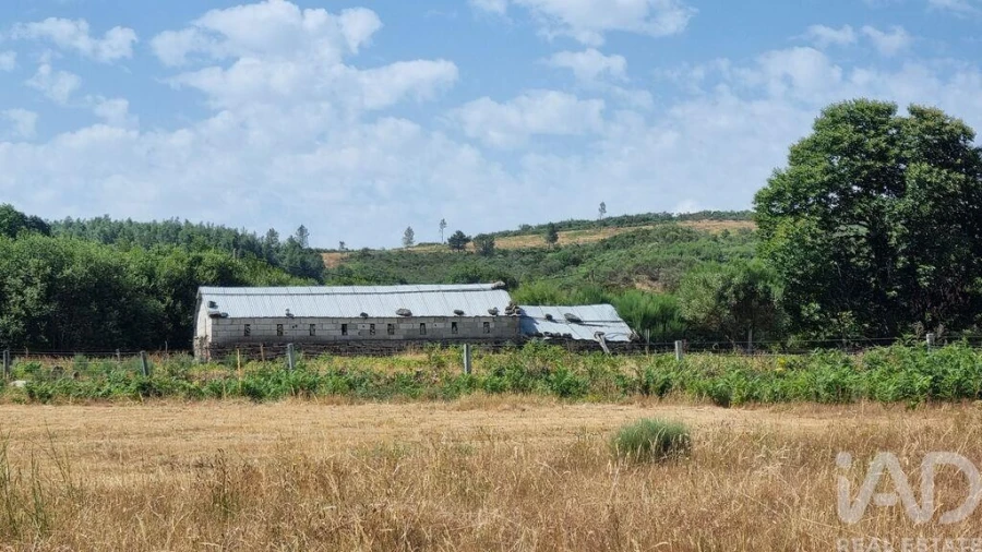 Terreno para Venda em Prados Foto 23