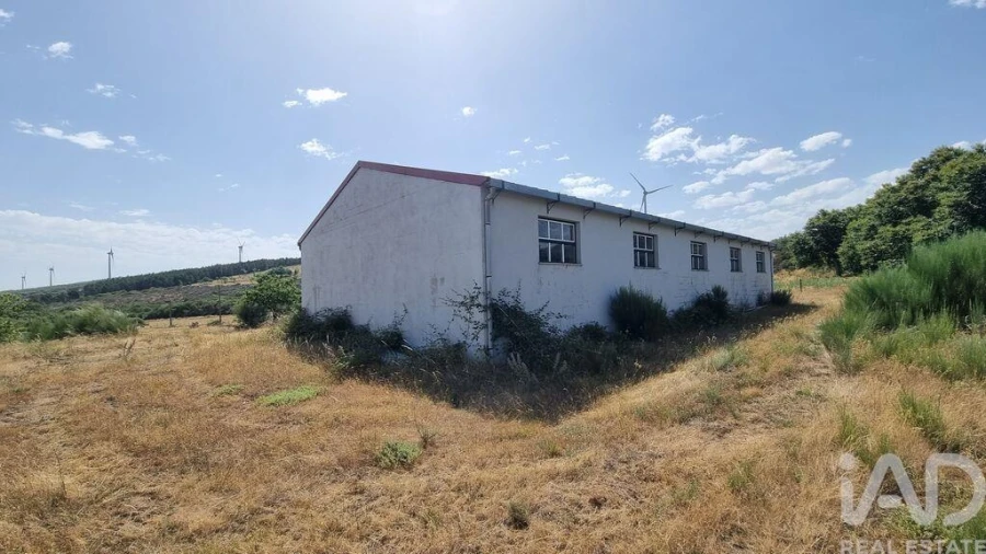 Terreno para Venda em Prados Foto 21