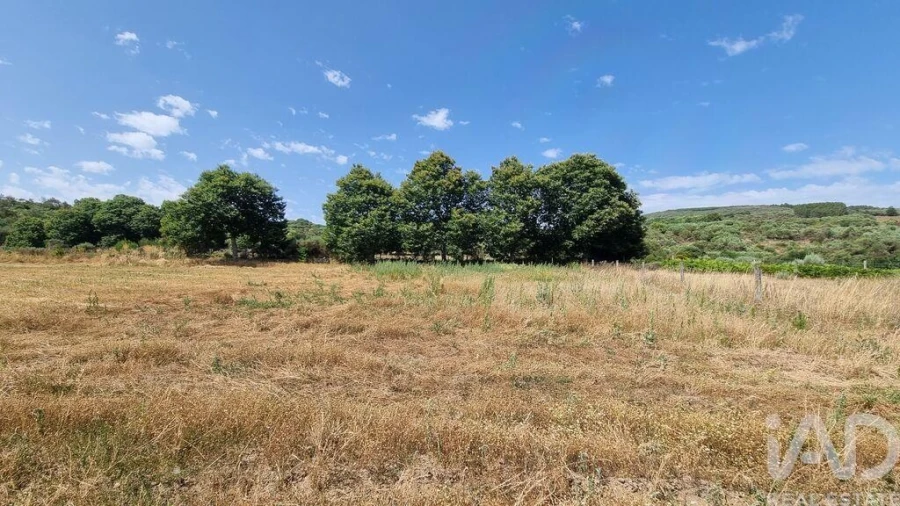 Terreno para Venda em Prados Foto 17