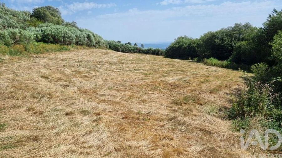 Terreno para Venda em Prados Foto 9