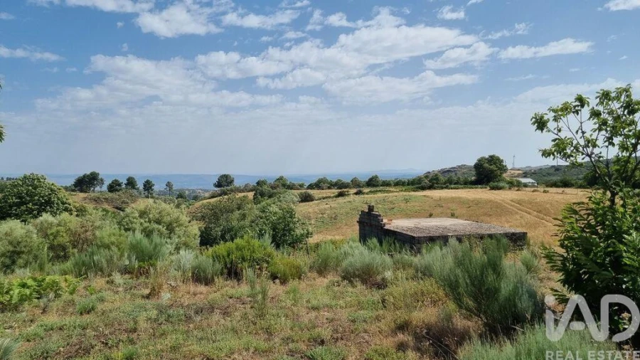 Terreno para Venda em Prados Foto 6