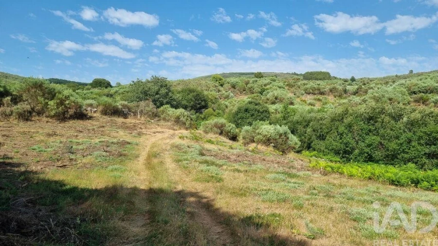 Terreno para Venda em Prados Foto 8