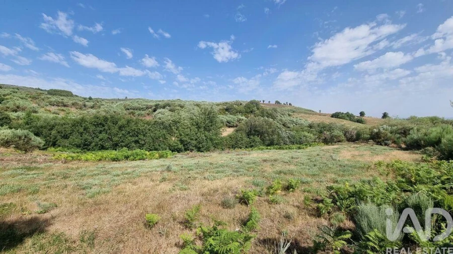 Terreno para Venda em Prados Foto 7