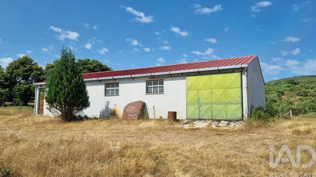 Terreno para Venda em Prados Foto 20