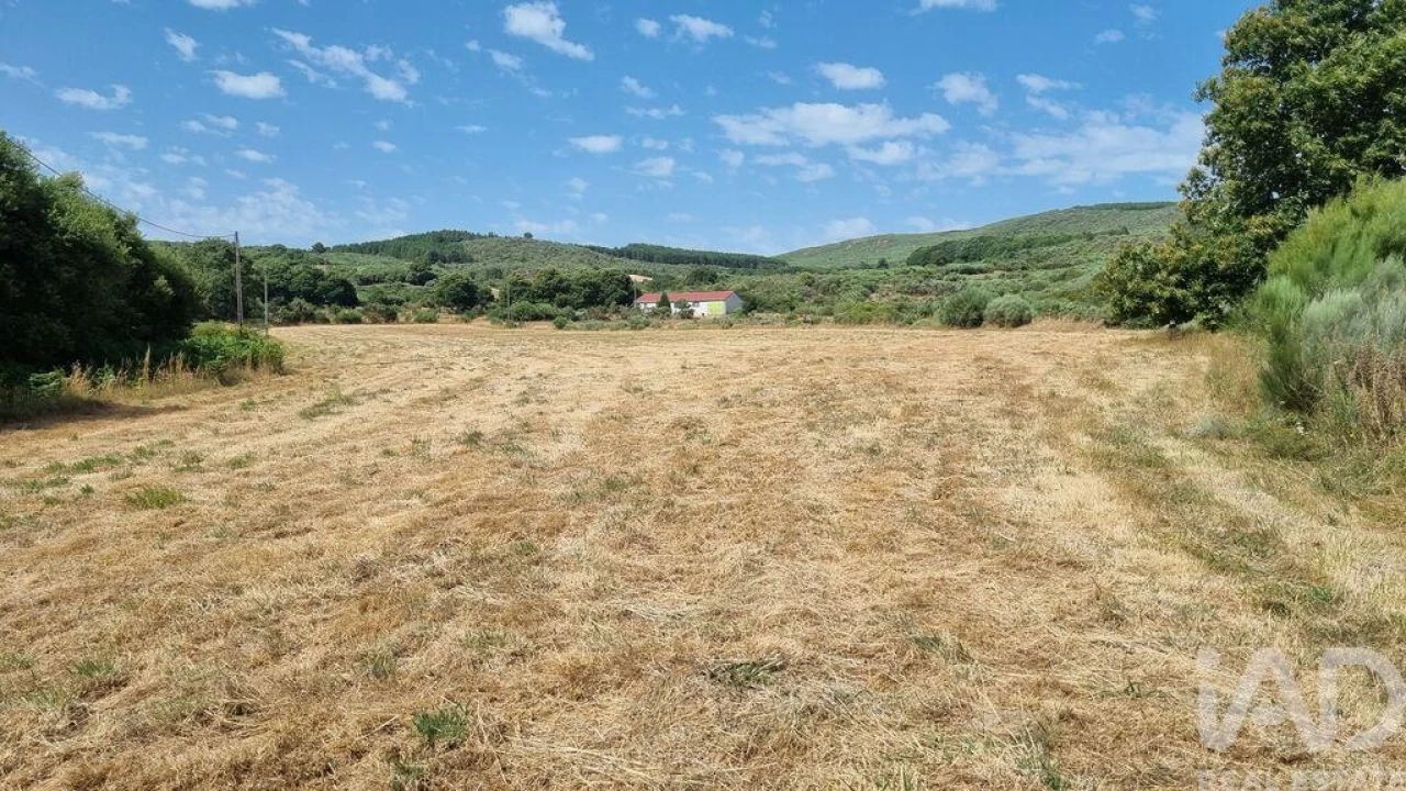 Terreno para Venda em Prados Foto 22