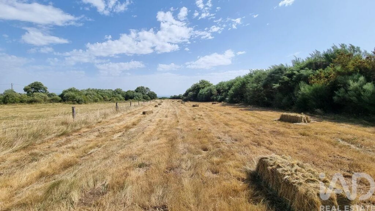 Terreno para Venda em Prados Foto 15