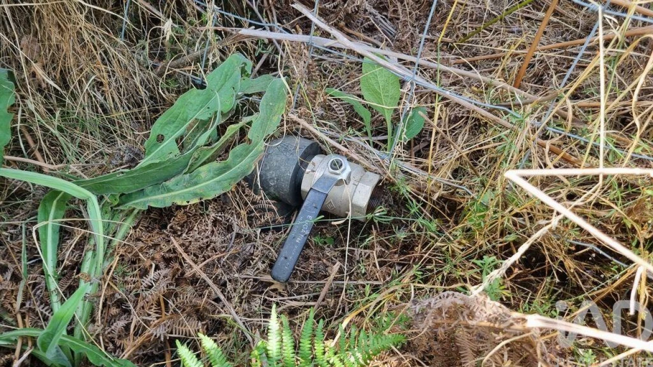 Terreno para Venda em Prados Foto 13