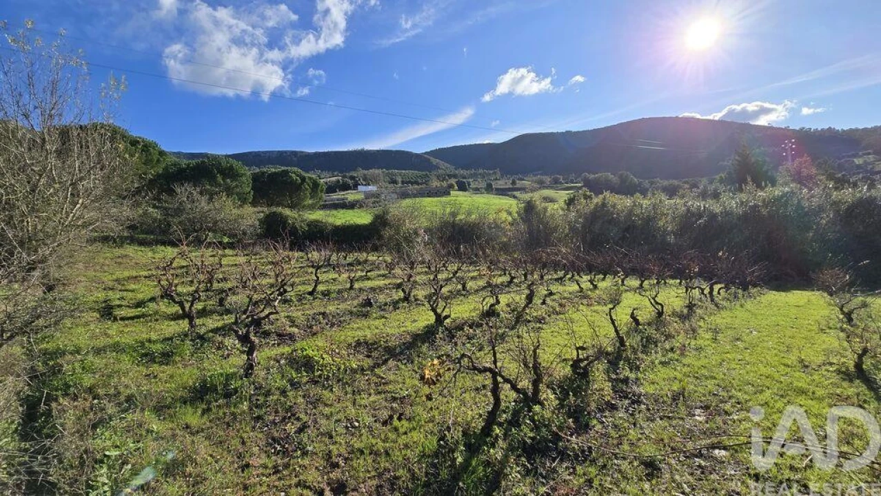 Terreno para Venda em Lamas e Cercal Foto 4
