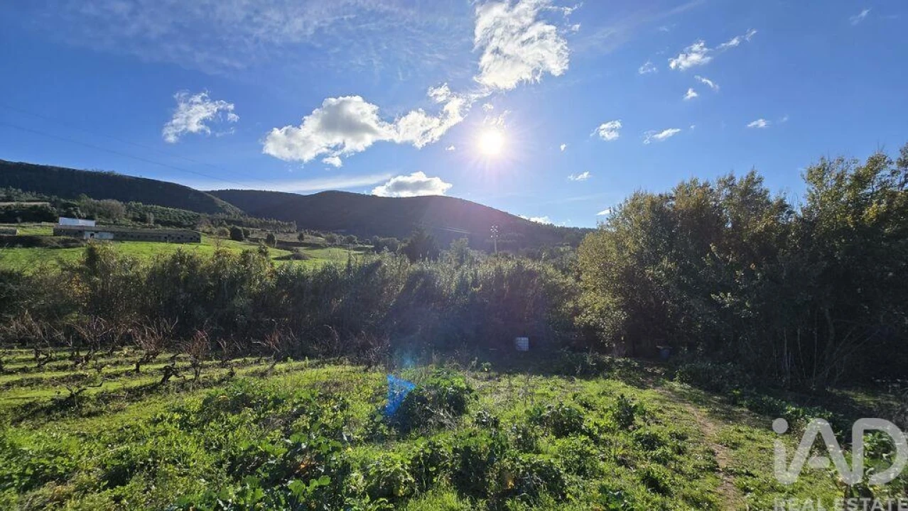 Terreno para Venda em Lamas e Cercal Foto 8