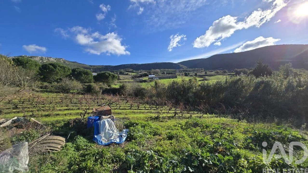 Terreno para Venda em Lamas e Cercal Foto 10