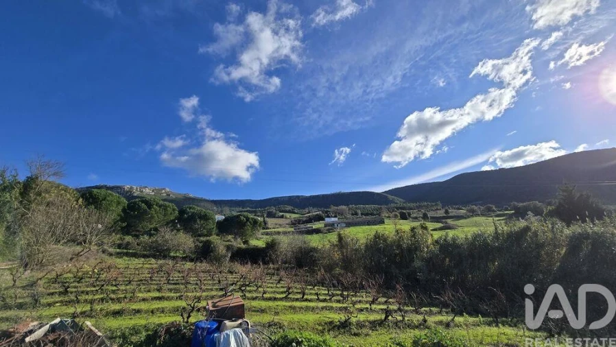 Terreno para Venda em Lamas e Cercal Foto 7