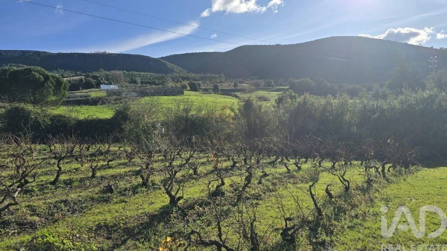 Terreno para Venda em Lamas e Cercal Foto 5
