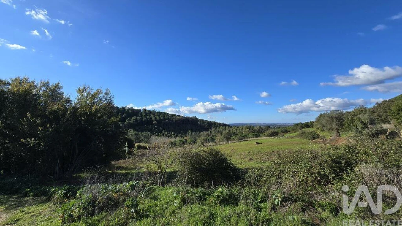 Terreno para Venda em Lamas e Cercal Foto 9