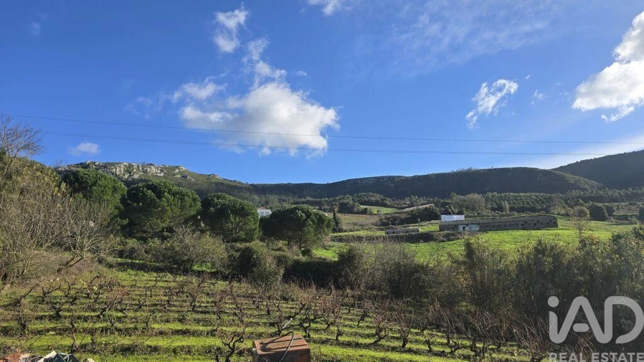 Terreno para Venda em Lamas e Cercal Foto 1