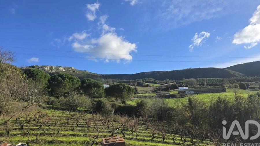 Terreno para Venda em Lamas e Cercal