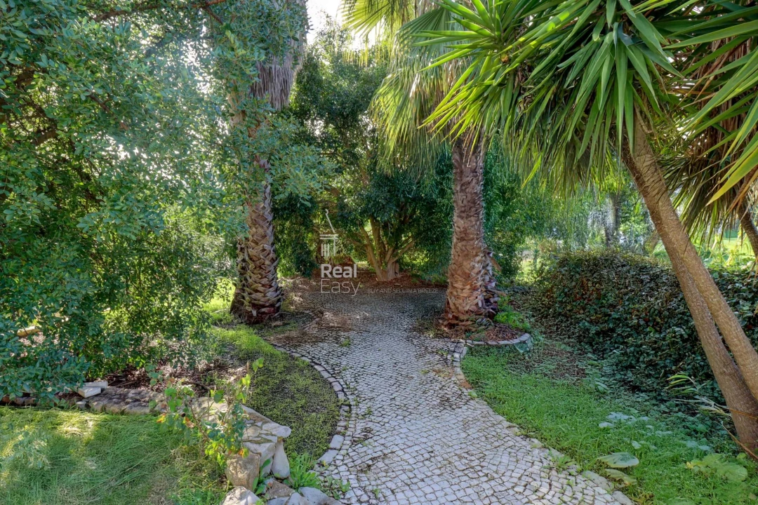 Moradia T3 para Venda em Olhão Foto 7