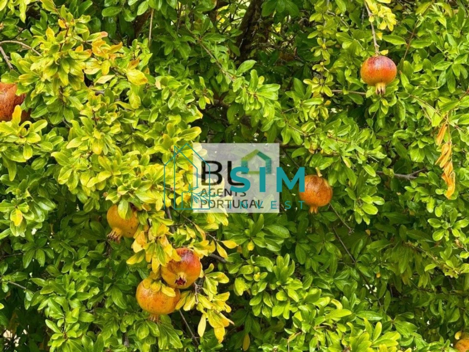 Moradia T10 para Venda em Luz de Tavira e Santo Estêvão Foto 32