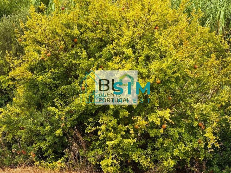 Moradia T10 para Venda em Luz de Tavira e Santo Estêvão Foto 20