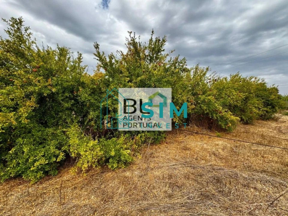 Moradia T10 para Venda em Luz de Tavira e Santo Estêvão Foto 55