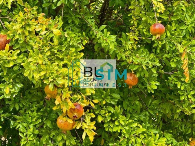 Moradia T10 para Venda em Luz de Tavira e Santo Estêvão Foto 32