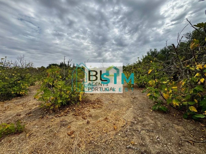 Moradia T10 para Venda em Luz de Tavira e Santo Estêvão Foto 13