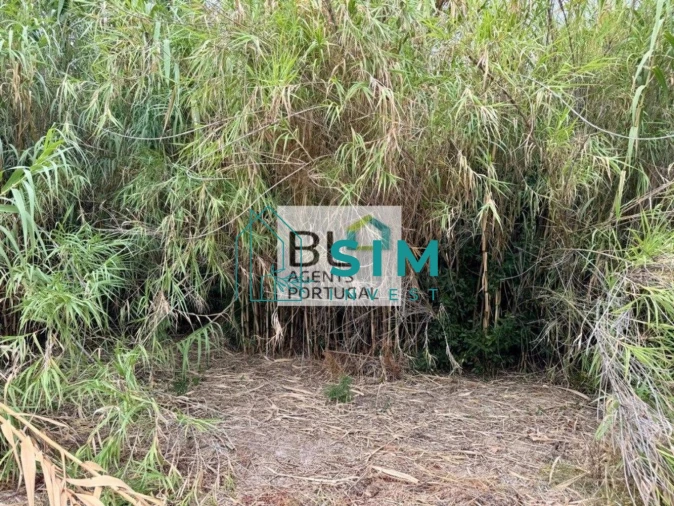 Moradia T10 para Venda em Luz de Tavira e Santo Estêvão Foto 21