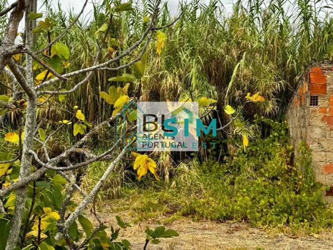 Moradia T10 para Venda em Luz de Tavira e Santo Estêvão Foto 62