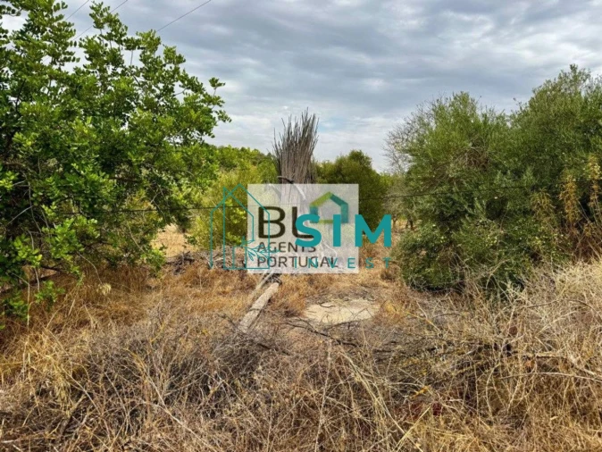 Moradia T10 para Venda em Luz de Tavira e Santo Estêvão Foto 11