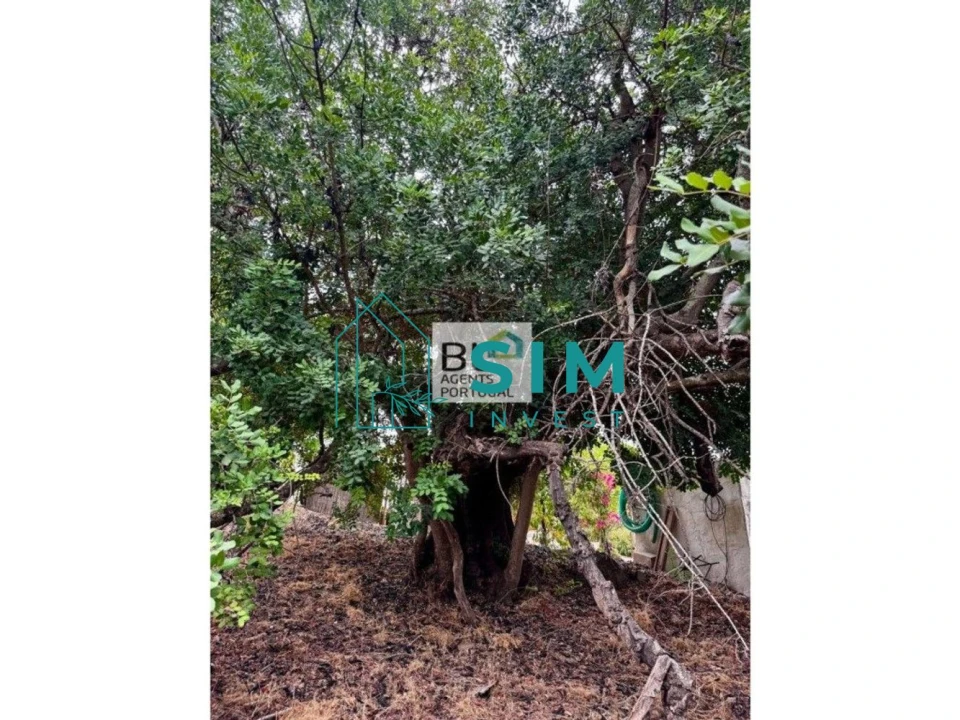 Moradia T10 para Venda em Luz de Tavira e Santo Estêvão Foto 9