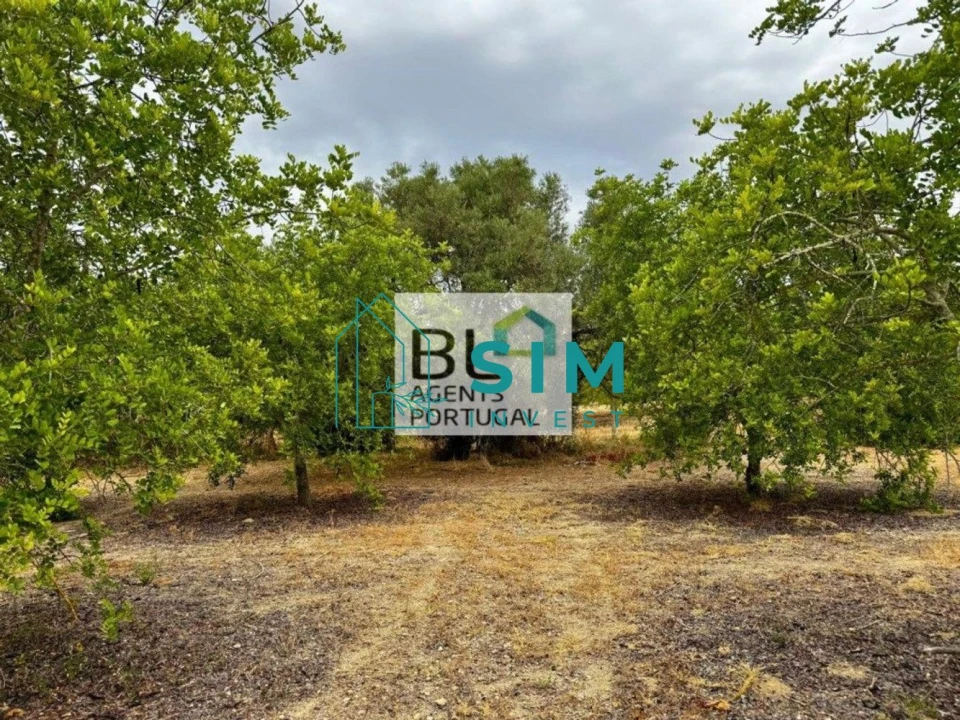Moradia T10 para Venda em Luz de Tavira e Santo Estêvão Foto 35