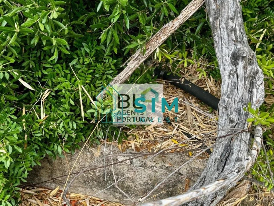 Moradia T10 para Venda em Luz de Tavira e Santo Estêvão Foto 24