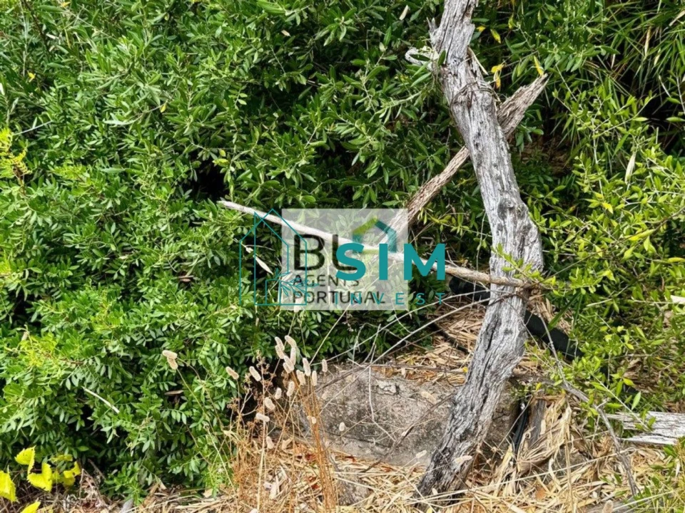 Moradia T10 para Venda em Luz de Tavira e Santo Estêvão Foto 18