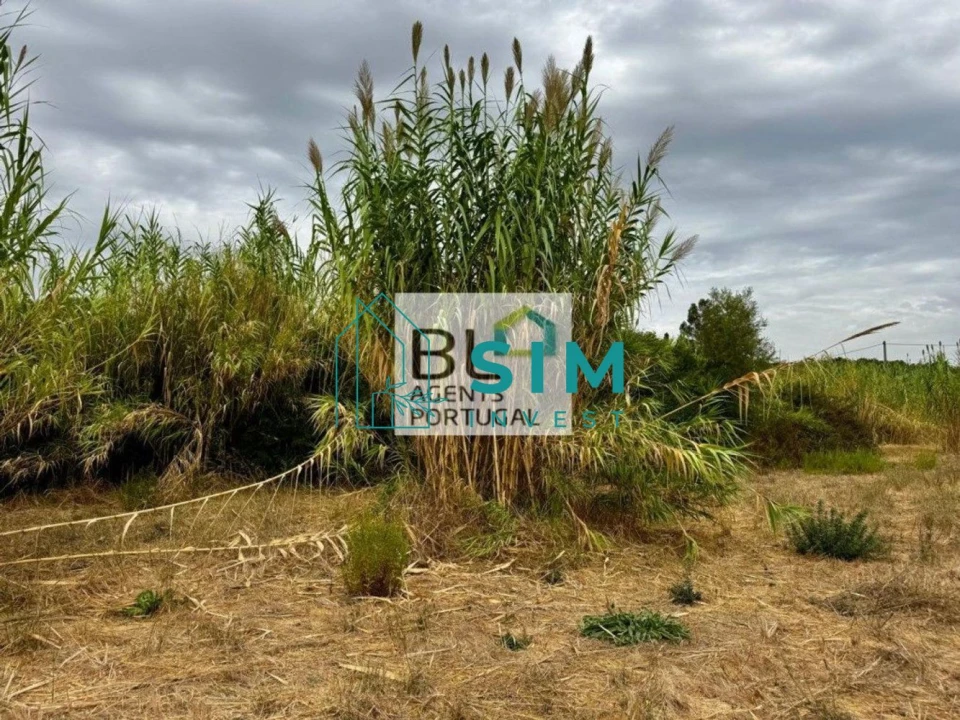 Moradia T10 para Venda em Luz de Tavira e Santo Estêvão Foto 58
