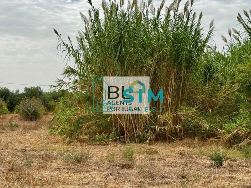 Moradia T10 para Venda em Luz de Tavira e Santo Estêvão Foto 8