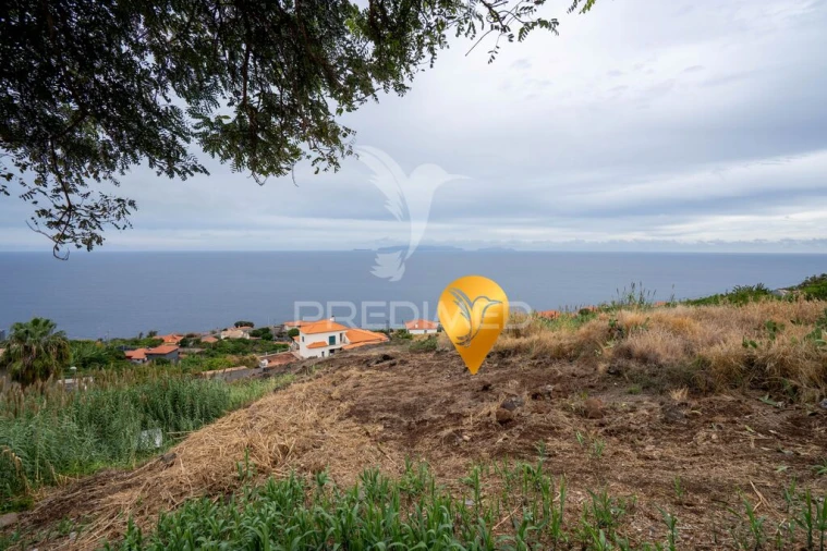 Terreno para Venda em Gaula Foto 8