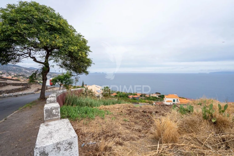 Terreno para Venda em Gaula Foto 6